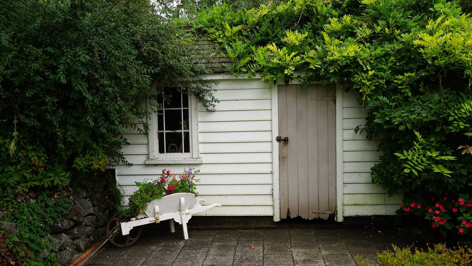 shed airbnb